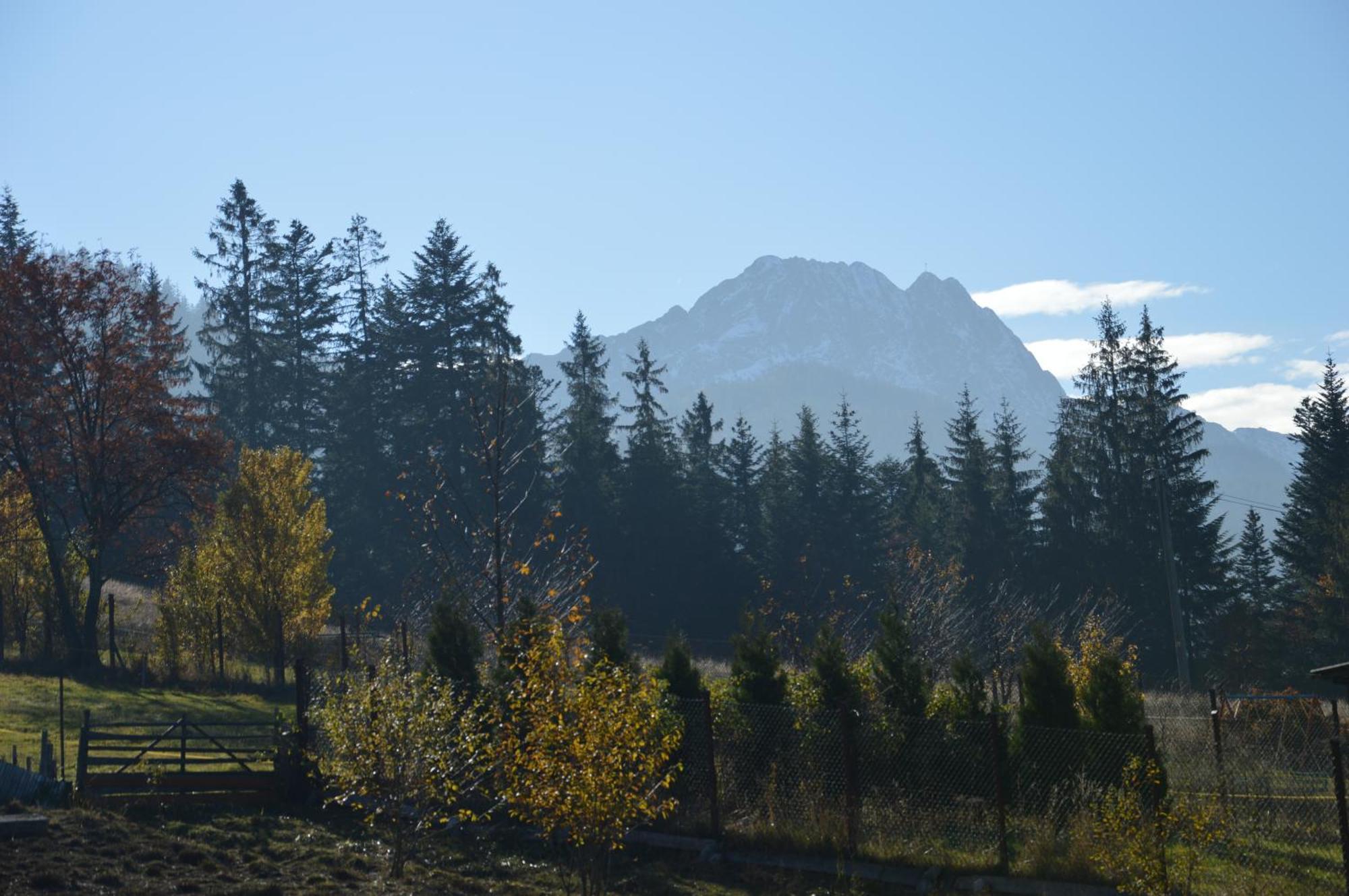 Msc Honeymoon * Zakopane