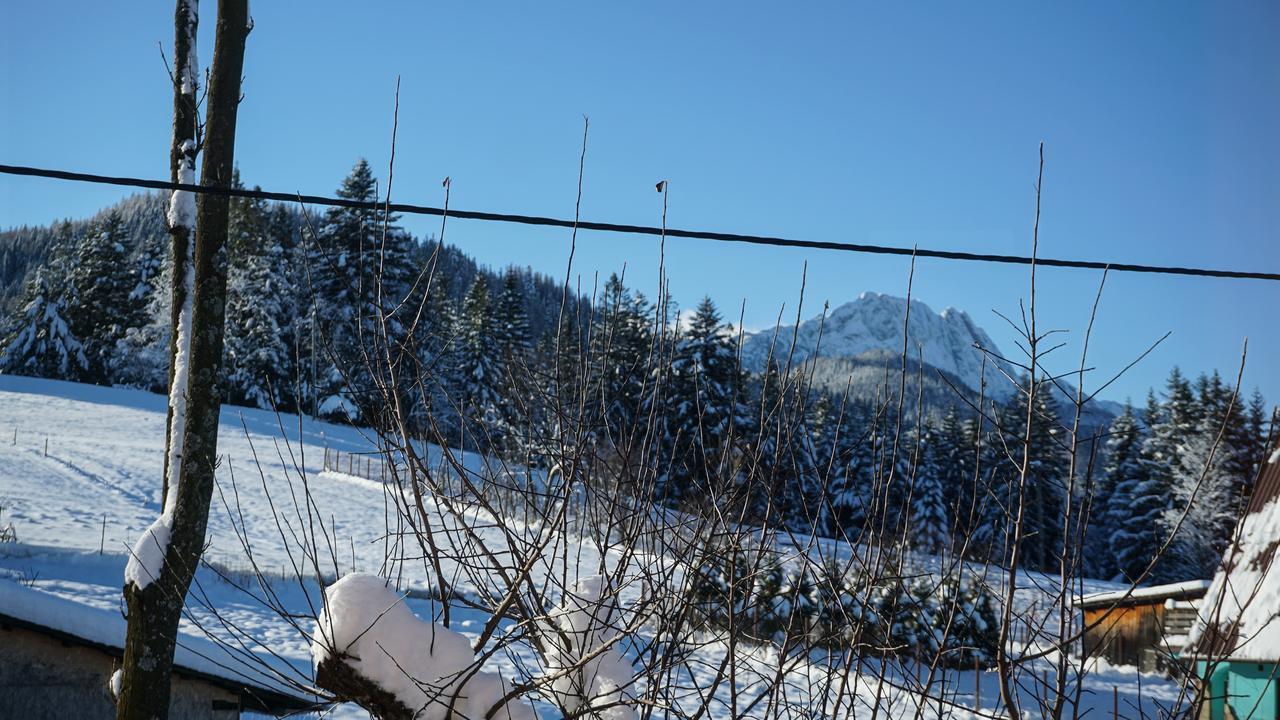 Msc Honeymoon Zakopane