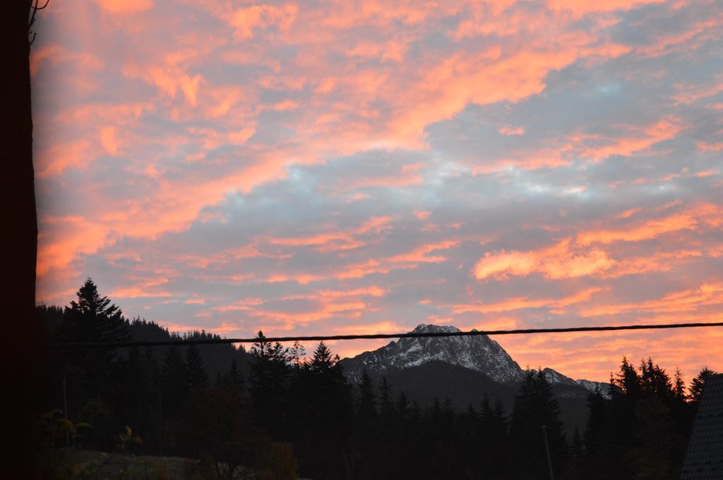 Msc Honeymoon Zakopane