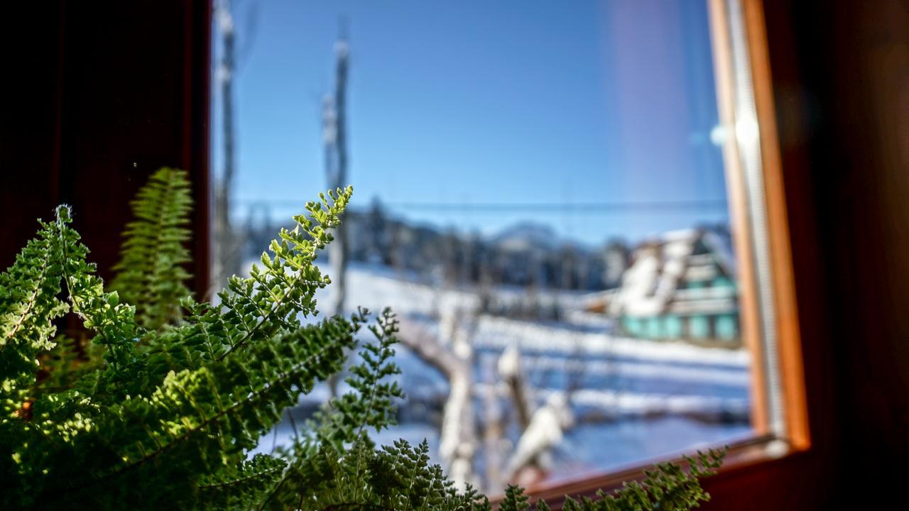 Msc Honeymoon * Zakopane